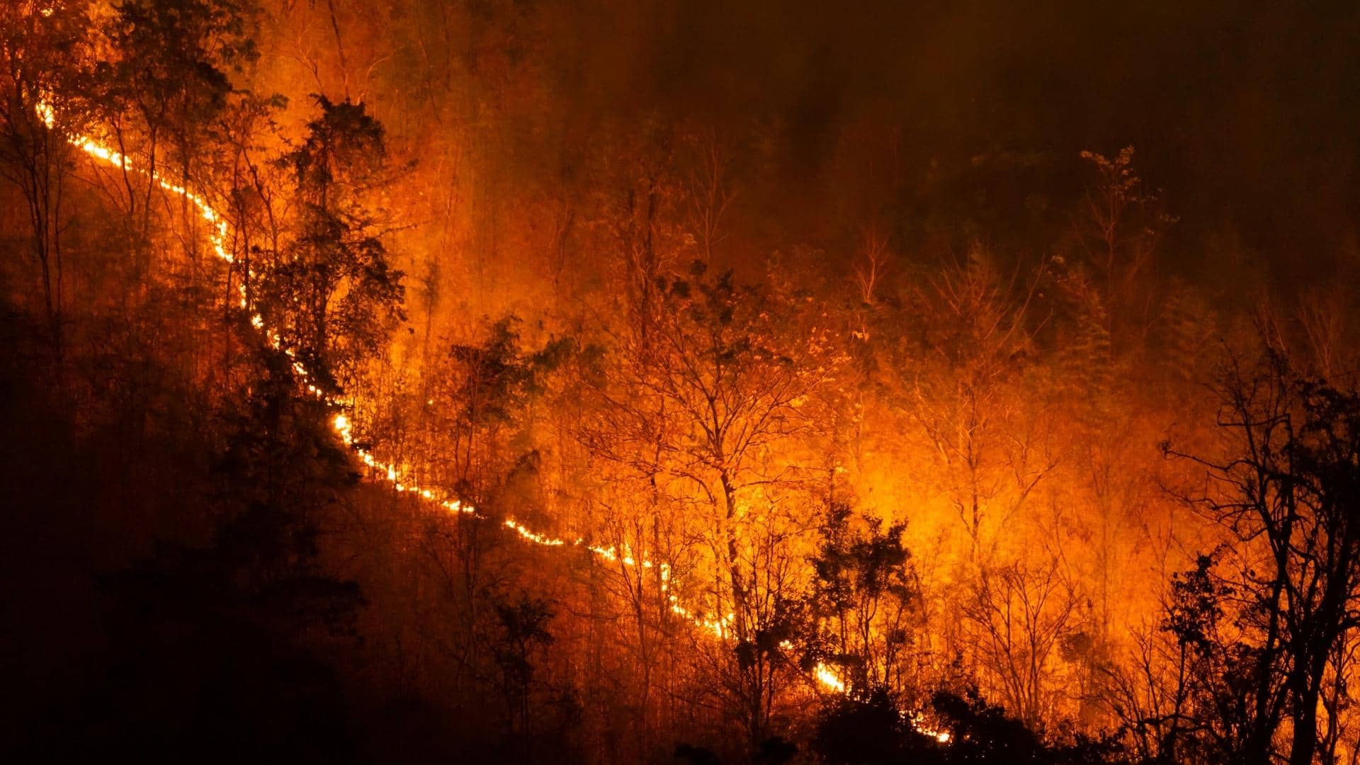 Europe wild fires
